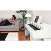  CX 102 W