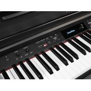  DP460K