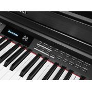  DP460K