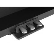  DP460K