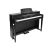 Medeli DP460K