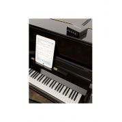 Pleyel Magistral