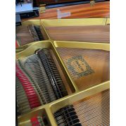 Yamaha G-2